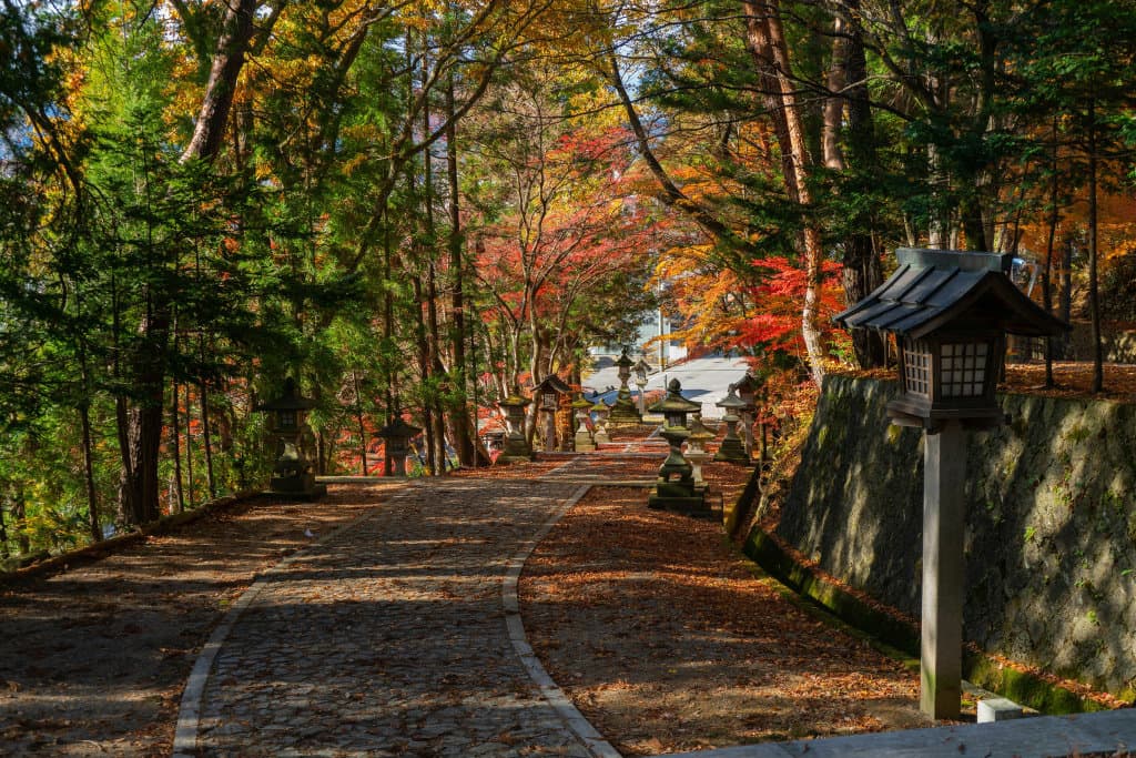 A tranquil Japanese path